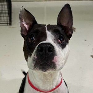 Fundraising Page: CLEO - Miguel “Hank” Hernandez